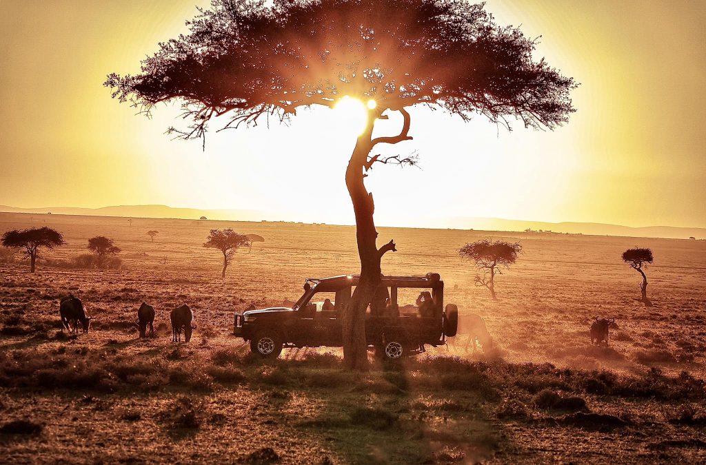 Explore Beyond Borders