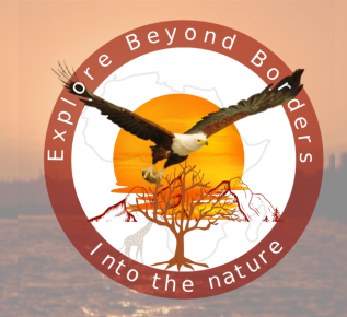 Explore Beyond Borders